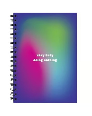Single Line Diary (B5, 250 Pages, Multicolour)
