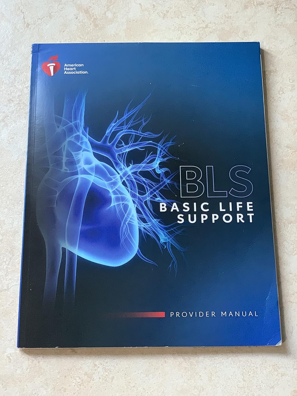 Bls Provider Manual 2020 Paperback – January 1, 2021 by Amaerican Heart Ass (Author)