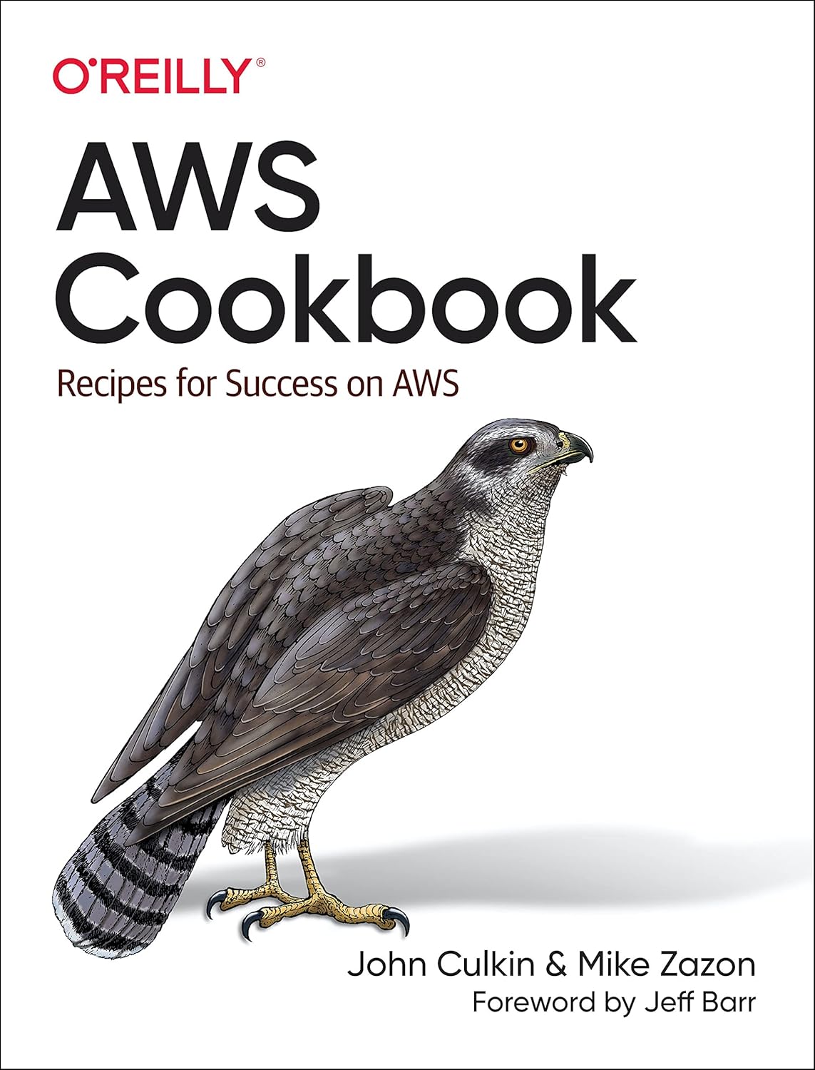 AWS Cookbook: Recipes for Success on AWS 1st Edition by John Culkin (Author), Mike Zazon (Author)
