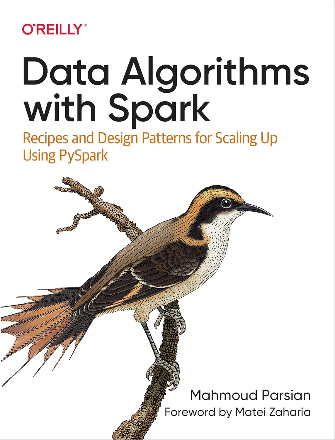 Data Algorithms with Spark: Recipes and Design Patterns for Scaling Up using PySpark 1st Edition by Mahmoud Parsian (Author)