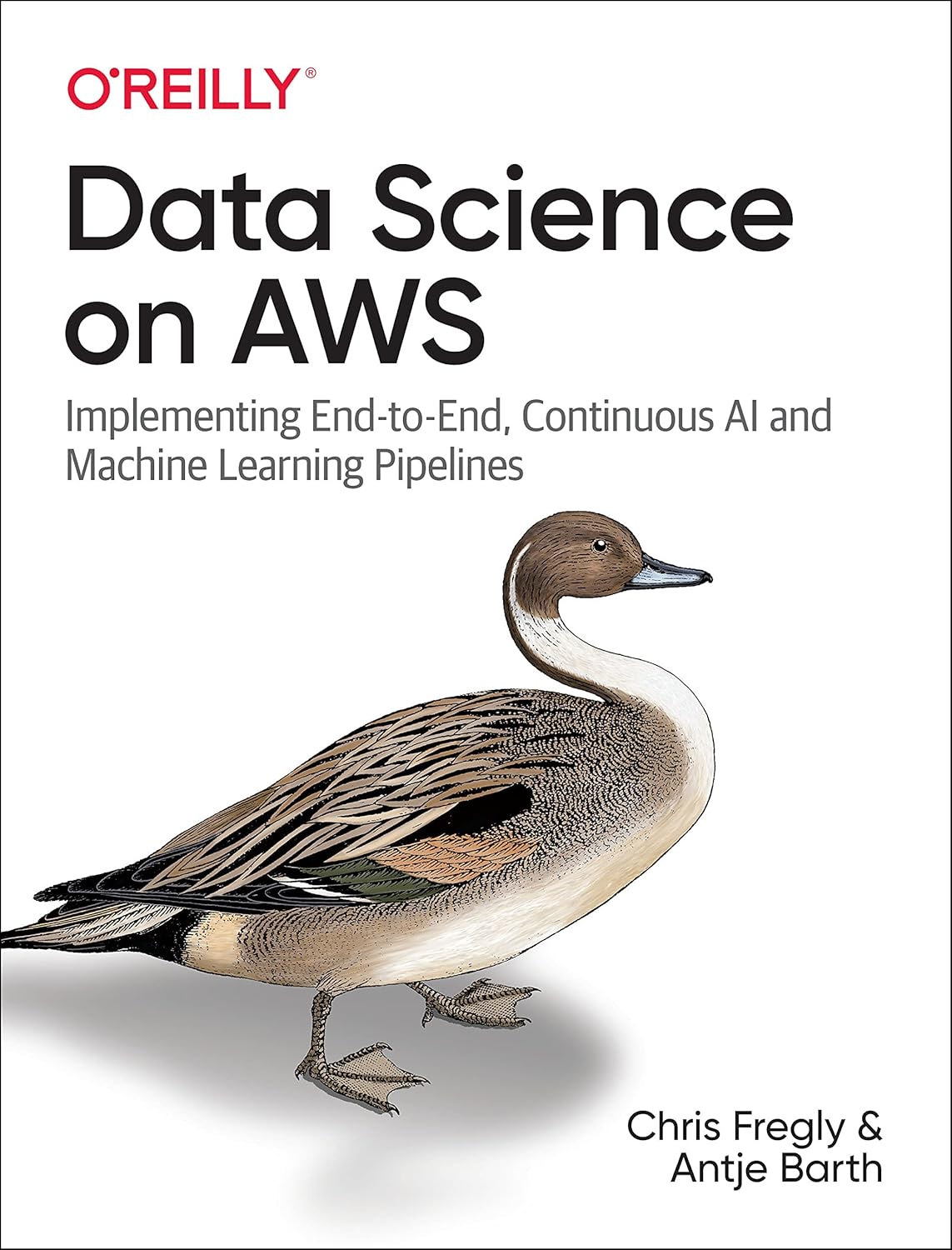 Data Science on AWS: Implementing End-to-End, Continuous AI and Machine Learning Pipelines 1st Edition by Chris Fregly (Author), Antje Barth (Author)