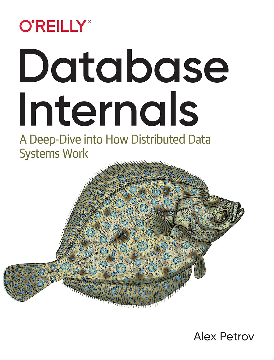 Database Internals: A Deep Dive into How Distributed Data Systems Work 1st Edition by Alex Petrov (Author)