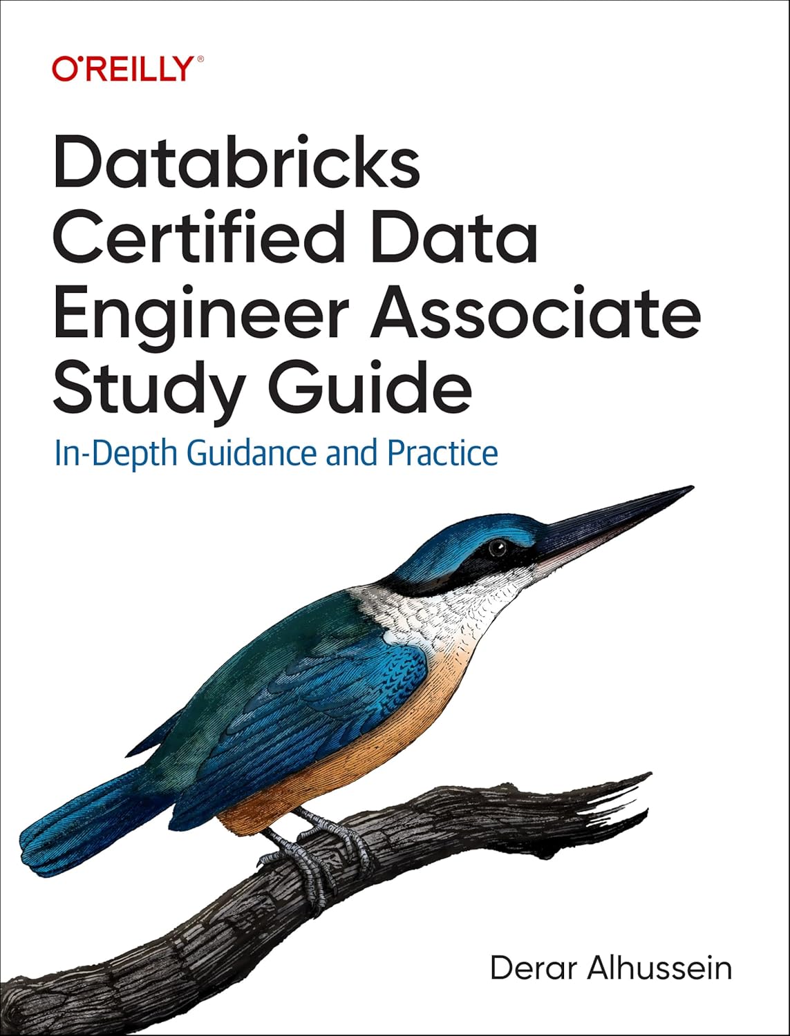 Databricks Certified Data Engineer Associate Study Guide: In-Depth Guidance and Practice 1st Edition by Derar Alhussein (Author)