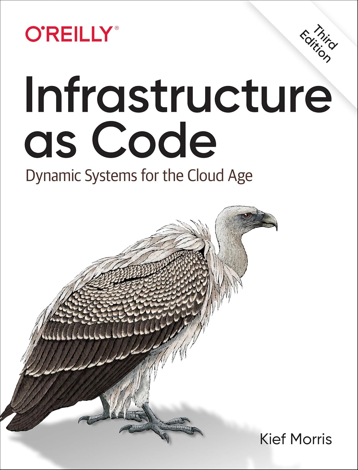 Infrastructure as Code: Designing and Delivering Dynamic Systems for the Cloud Age 3rd Edition by Kief Morris (Author)